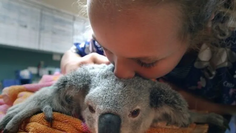 Izzy's Koala World