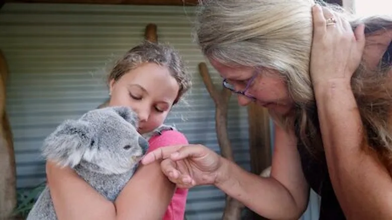 Izzy's Koala World