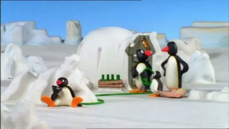 Pingu