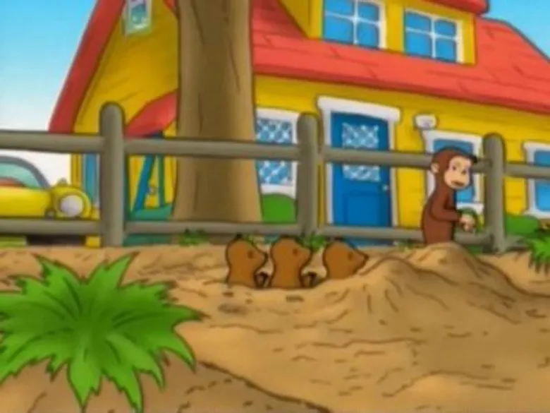Curious George