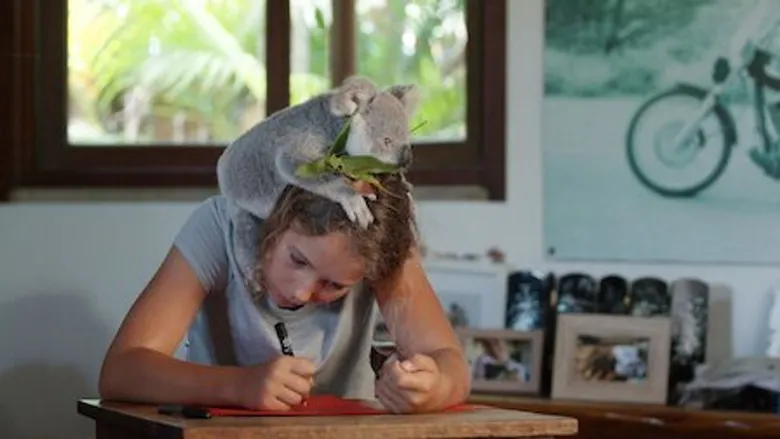Izzy's Koala World