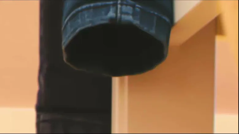 Lucas the Spider