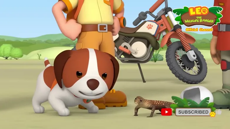 Leo the Wildlife Ranger