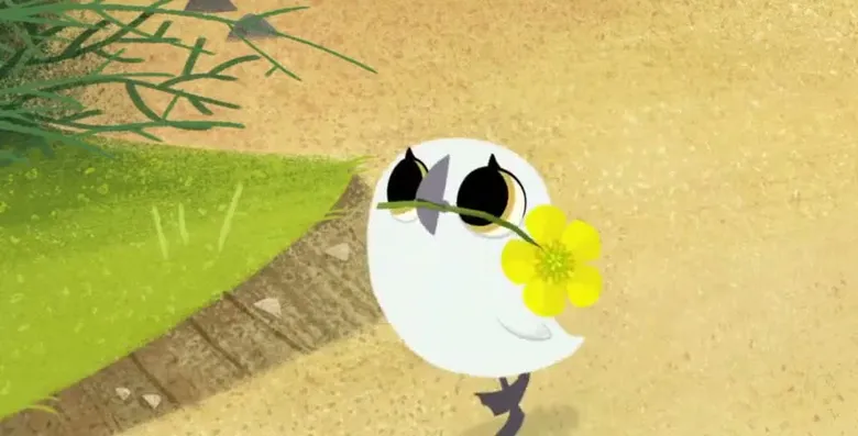 Puffin Rock