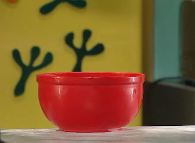 Animal Show
